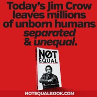Not Equal: Jim Crow
