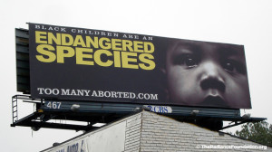"Endangered Species" by The Radiance Foundation