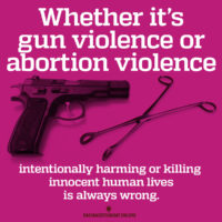"Gun Violence & Abortion Violence"
