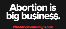 Abortion is big business. WhatAbortionReallyIs.com