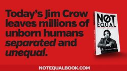 not-equal-jim-crow-1920x1080